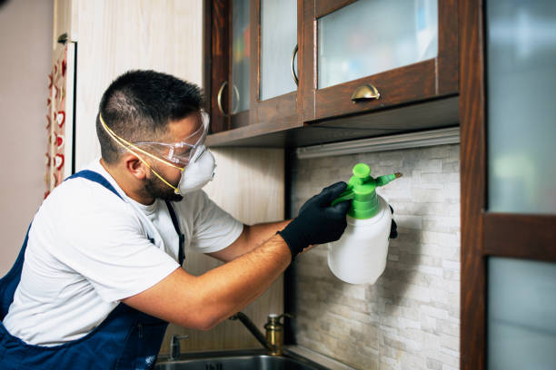 Best Pest Inspection Near Me  in Mount Oliver, PA