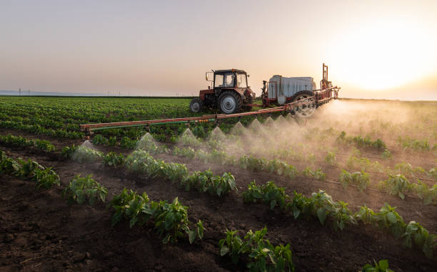 Best Mosquito Control Services  in Mount Oliver, PA