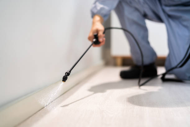 Best Wasp Removal Services  in Mount Oliver, PA