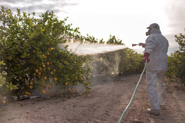 Best Pest Removal Services  in Mount Oliver, PA