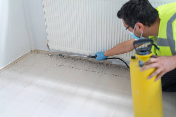 Reliable Mount Oliver, PA Pest Control Solutions