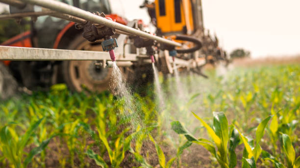 Best Commercial Pest Control Services  in Mount Oliver, PA